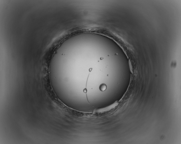 X0000100471447200806201555