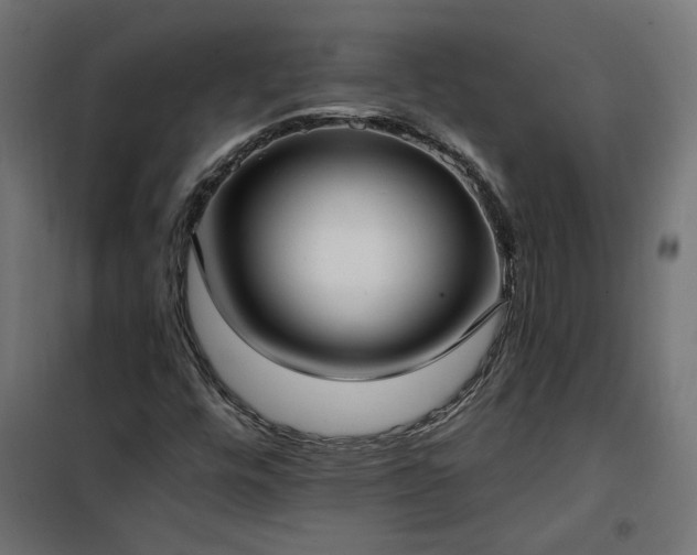 X0000100471448200806201555