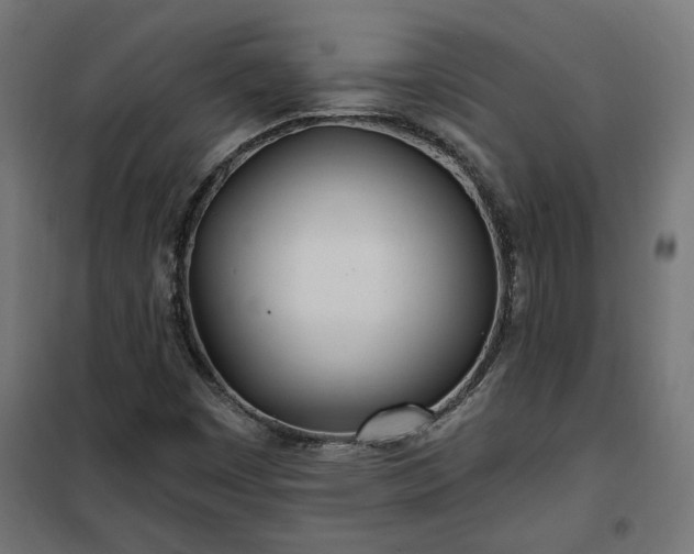 X0000100471449200806201555