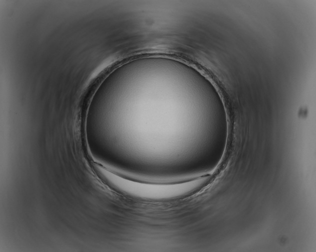 X0000100471450200806201555