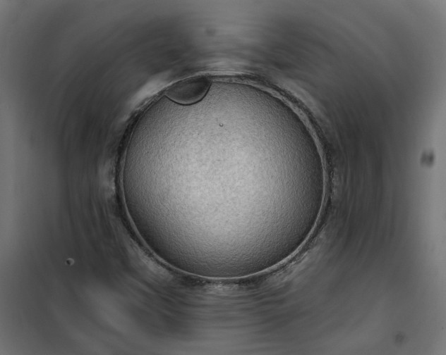 X0000100471451200806201555