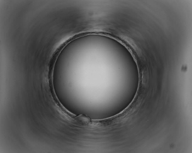 X0000100471452200806201555