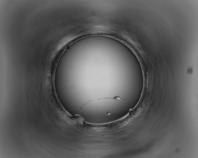 X0000100471453200806201555