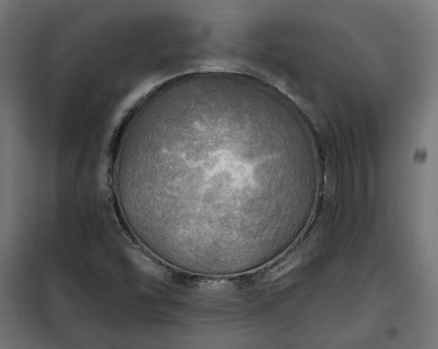 X0000100471454200806201555