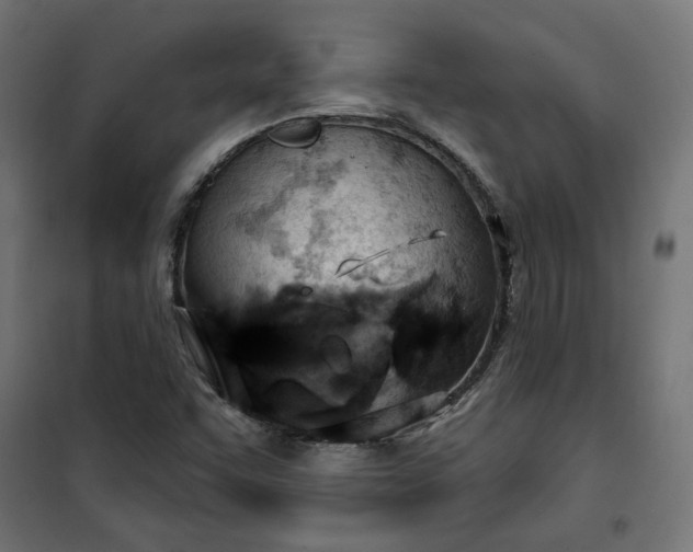 X0000100471455200806201555