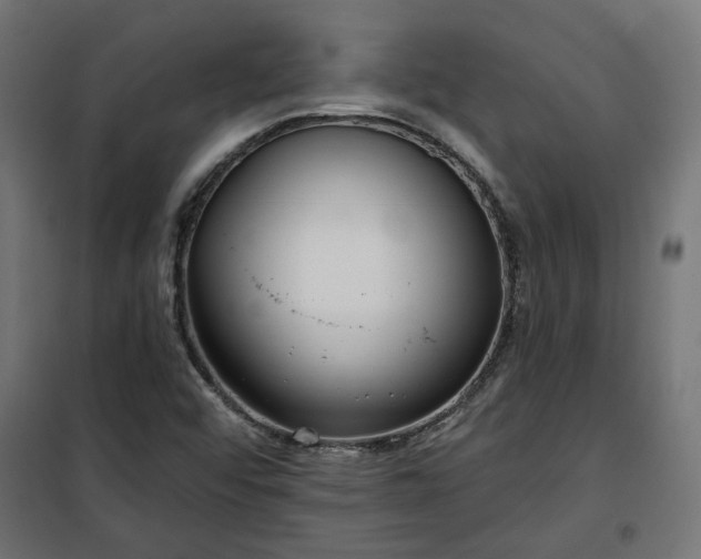 X0000100471456200806201555