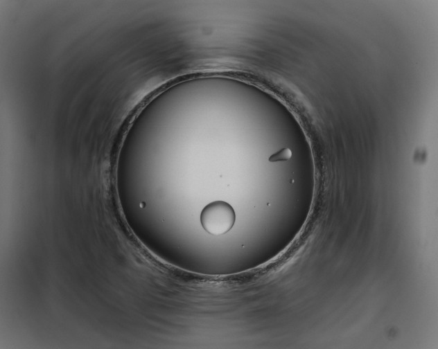 X0000100471457200806201555