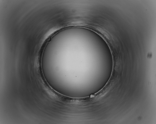 X0000100471458200806201555