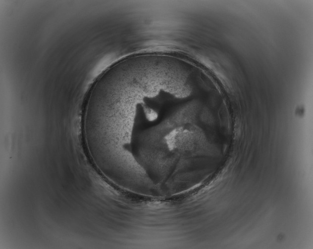 X0000100471459200806201555