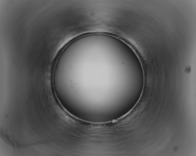 X0000100471460200806201555