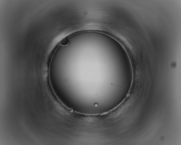 X0000100471461200806201555