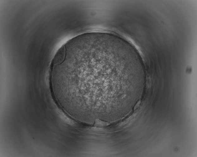 X0000100471463200806201555