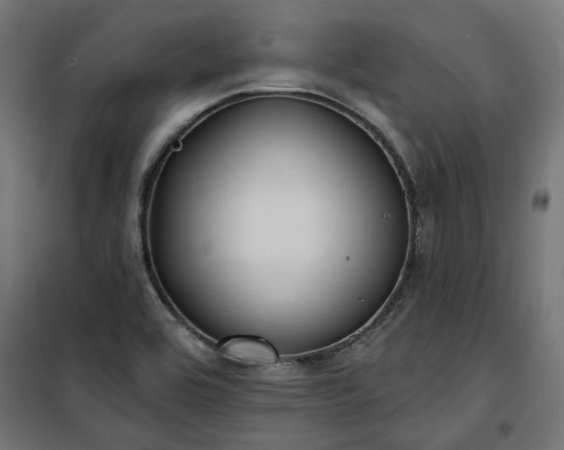 X0000100471464200806201555