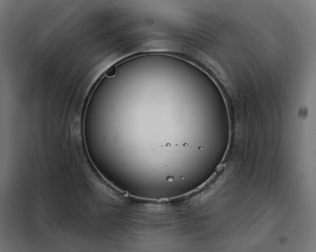 X0000100471465200806201555