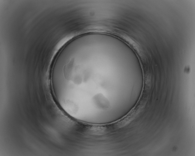 X0000100471466200806201555