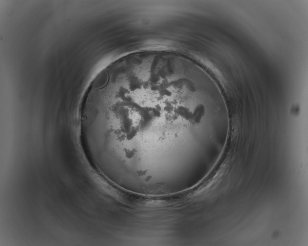 X0000100471467200806201555