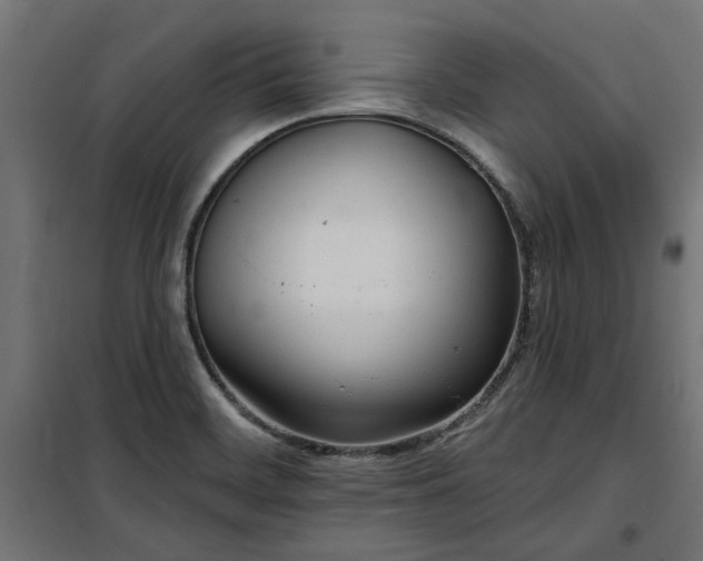 X0000100471468200806201555