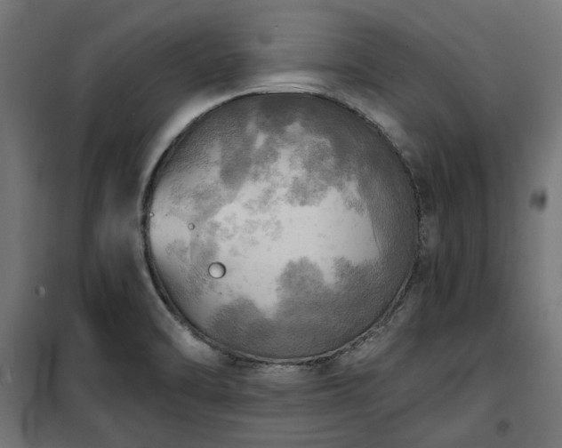 X0000100471470200806201555