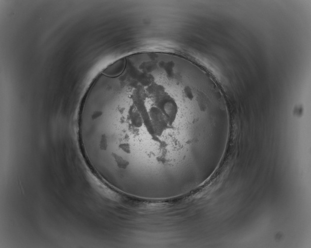 X0000100471471200806201555