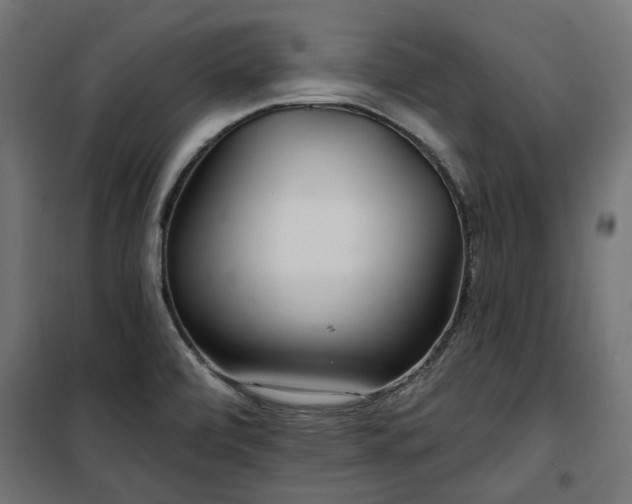 X0000100471472200806201555