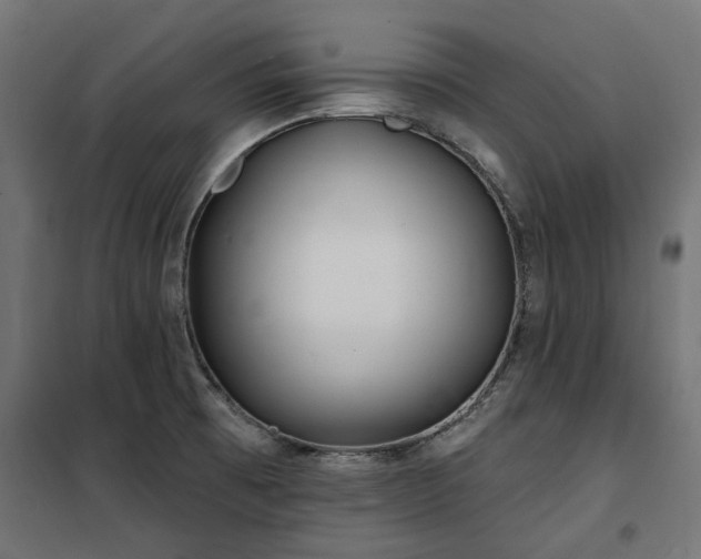 X0000100471473200806201555