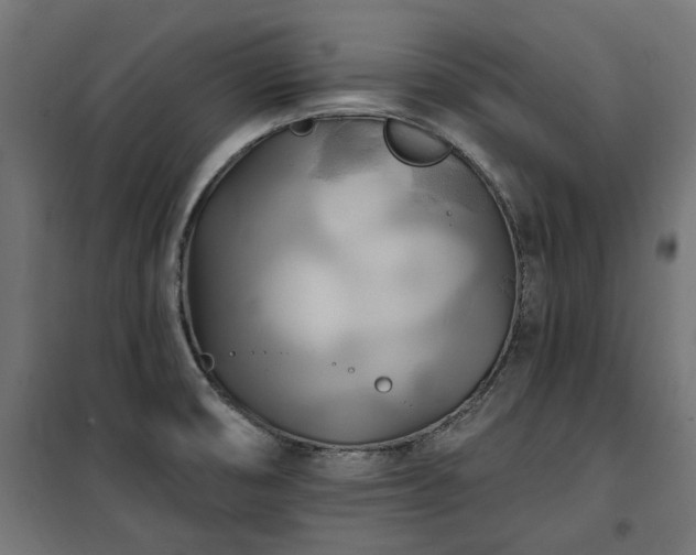 X0000100471474200806201555