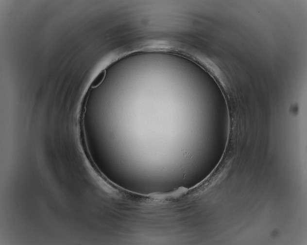 X0000100471475200806201555