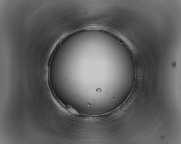 X0000100471476200806201555