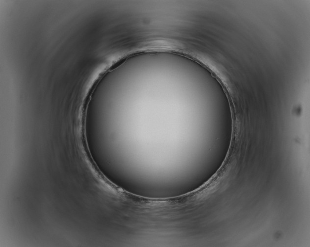 X0000100471477200806201555