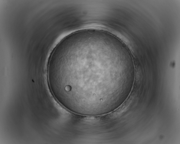 X0000100471478200806201555