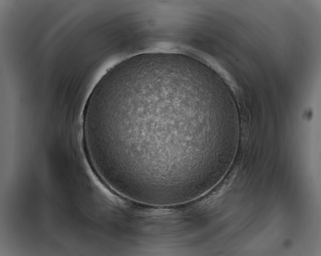 X0000100471479200806201555