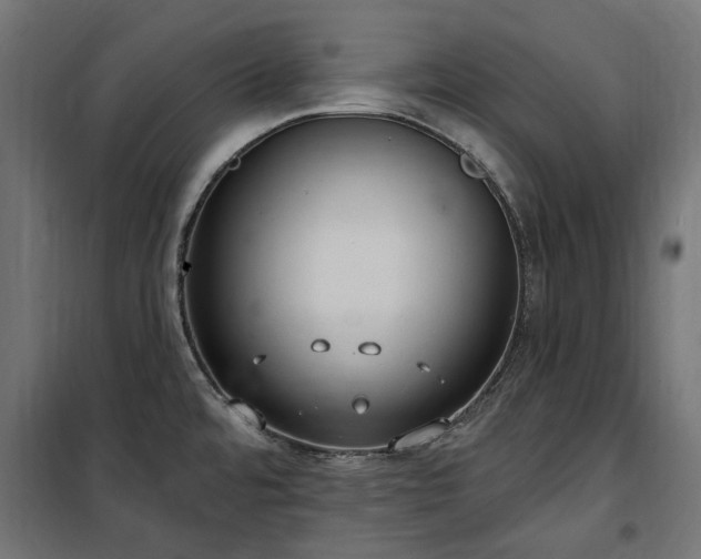 X0000100471480200806201555