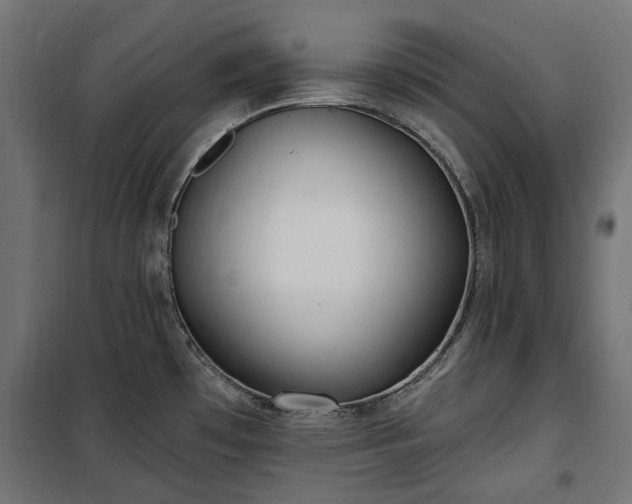 X0000100471481200806201555