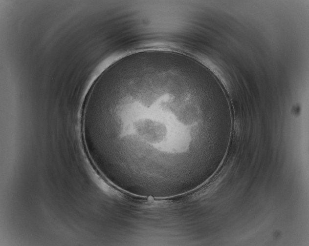 X0000100471482200806201555