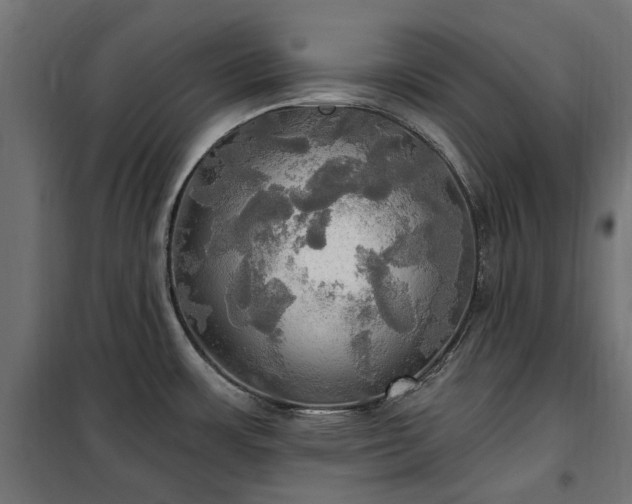 X0000100471483200806201555