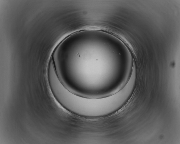 X0000100471484200806201555