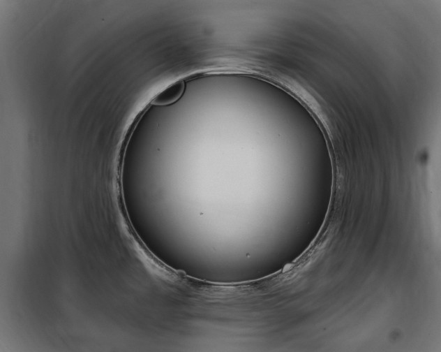 X0000100471485200806201555