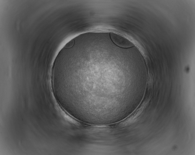 X0000100471486200806201555