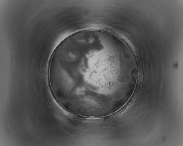 X0000100471487200806201555