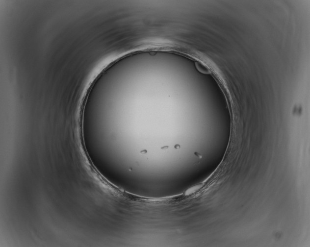 X0000100471488200806201555