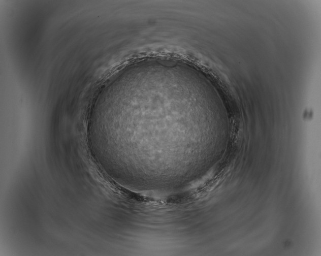 X0000100471489200806201554