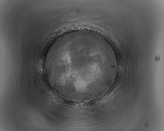 X0000100471490200806201554