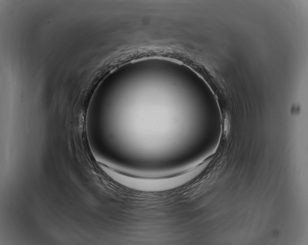 X0000100471492200806201554