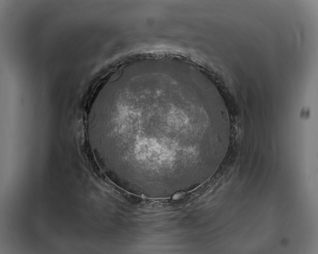 X0000100471493200806201554