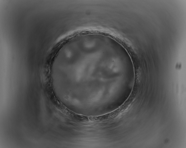 X0000100471494200806201554