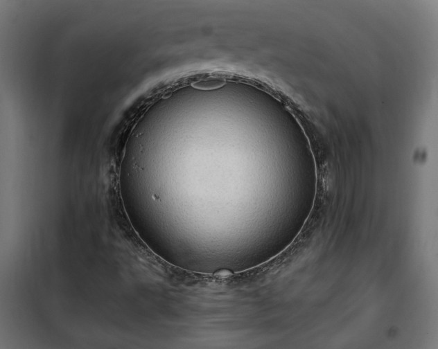 X0000100471495200806201554