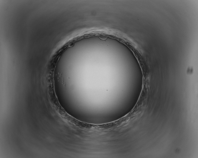 X0000100471496200806201554