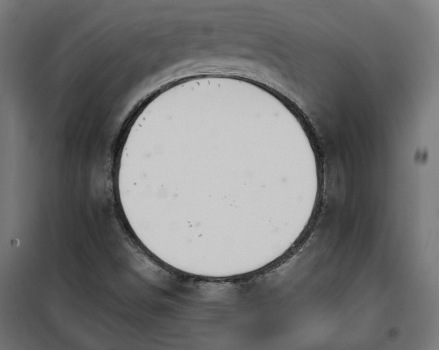 X0000100471498200806201554