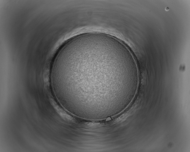 X0000100471499200806201554