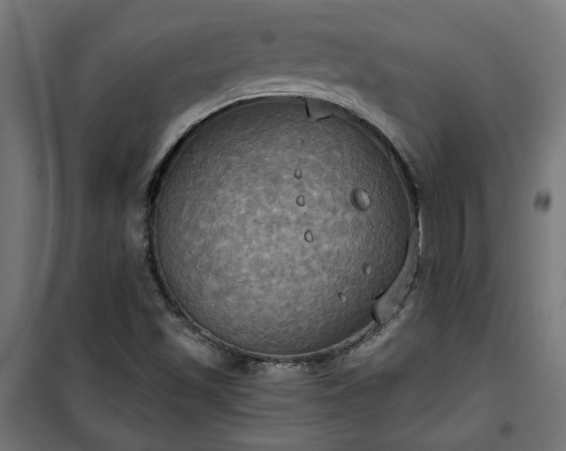 X0000100471501200806201554